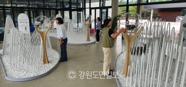 ▲ 자연과 함께하는 송지호 이야기를 테마로 한 전시관이 방문객들로부터 인기를 끌고 있다.