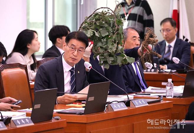 국정감사에서 질의를 하고 있는 문대림 의원.