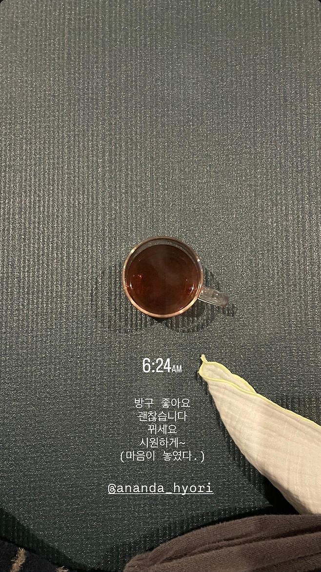 이효리. 사진 | 요가원 ‘아난다’ SNS