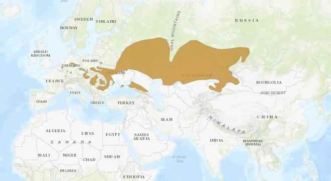 유럽햄스터의 서식지. 출처 : 세계자연보전연맹(IUCN) 적색목록(Red list)