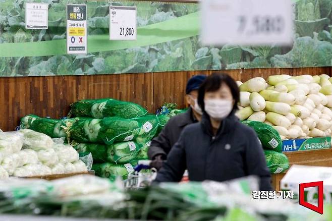 서울 서초구 하나로마트 양재점에 배추와 무가 진열돼 있다. 강진형 기자