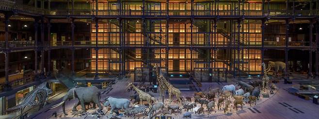 프랑스 파리 국립 자연사박물관./박물관 홈페이지 캡처