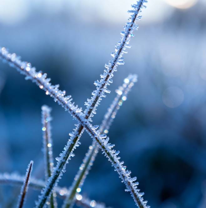 오늘(23일)은 서리가 내리기 시작한다는 24절기 중 18번째 절기 '상강(霜降)'이다. 가을의 끝자락에서 겨울의 문턱으로 들어서는 시기로, 맑고 청명한 날씨 속에 단풍이 절정을 이룬다. 24절기는 고대 중국 주나라 시절 황허강 유역의 기후에 맞춰 태음력을 보완하기 위해 만들어진 절기 체계이다. 농가에서는 한 해 농사를 마무리하며 추수에 힘썼고, 조선시대에는 군권을 상징하는 '둑(纛)'에 제사를 지내는 '둑제(纛祭)'라는 국가 의례를 거행하기도 했다. 국화주와 추어탕 등 제철 음식을 즐기며 늦가을 정취를 만끽하던 날이다. 오늘 날씨는 동해안에 비 소식이 있지만 대체로 포근하며, 큰 일교차에 건강 관리가 필요한 시점이다.
