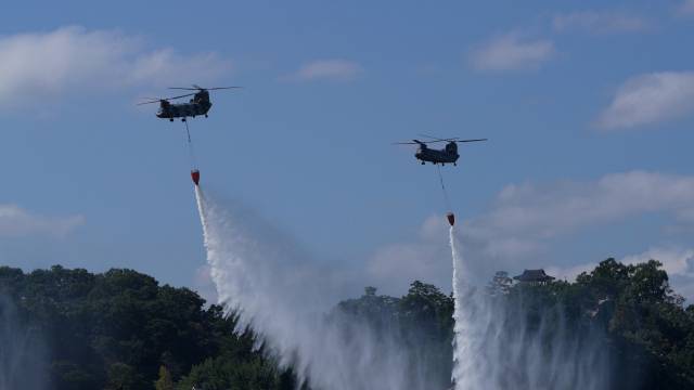 ⓒ산림항공본부