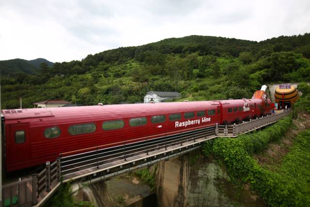 김해 ‘낙동강레일파크’ 내 열차카페.