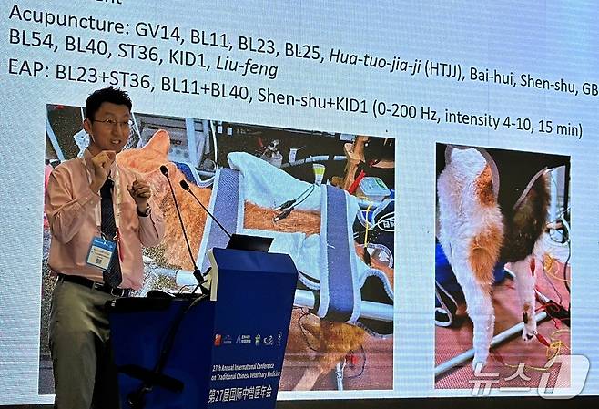 최규석 원장(본동물의료센터 제공) ⓒ 뉴스1