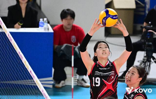 정관장 최서현./KOVO