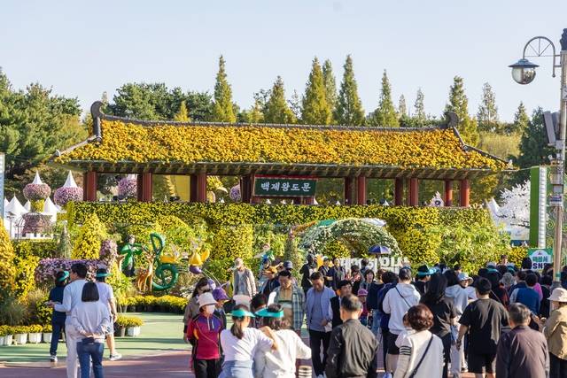 24일 제22회 익산 천만송이 국화축제장/사진 제공=익산시