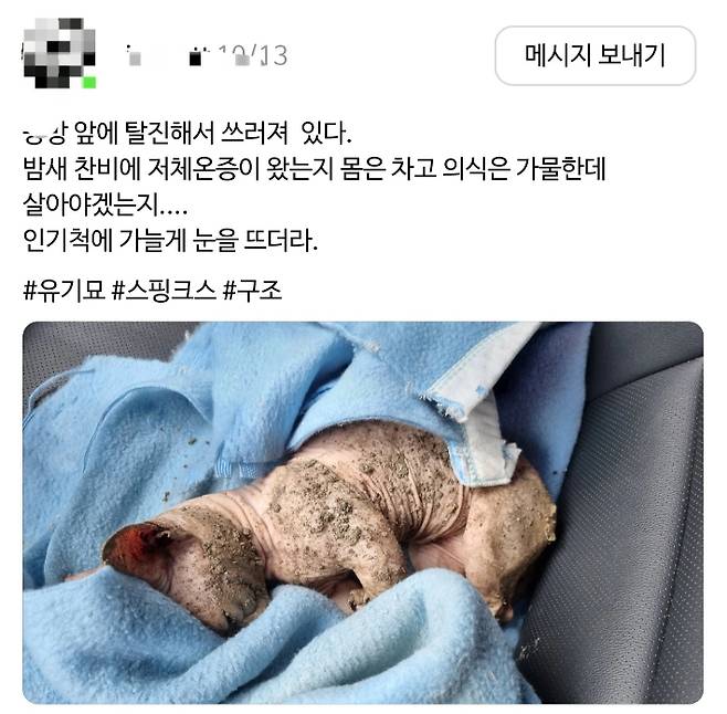 고양이 한 마리가 공방 앞 진흙탕 속에서 탈진한 채 발견했다고 한 SNS 이용자가 고양이 사진을 담은 게시글을 작성했다. SNS 스레드 게시글 캡처
