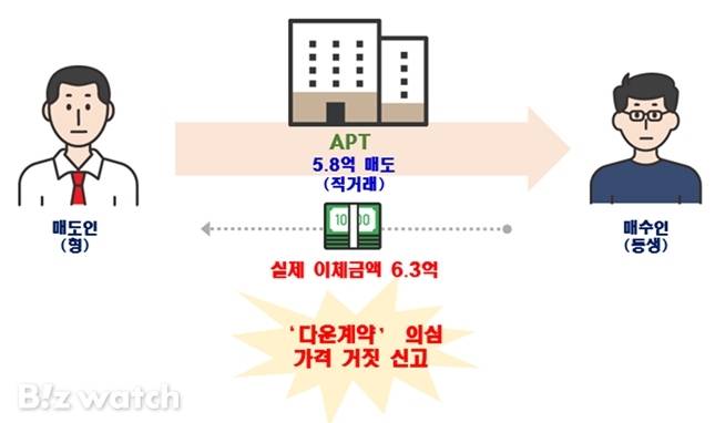 국토교통부가 적발한 다운계약 의심 사례./자료=국토교통부