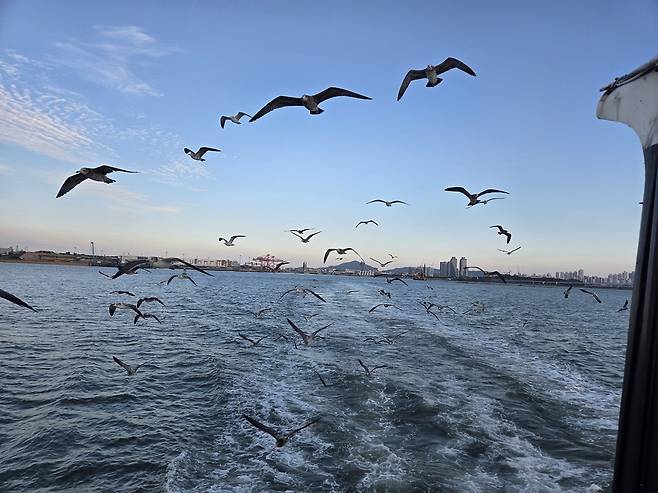 ▲ 서해갑문을 통과해 경기만에서 김포 대명항으로 힘찬 여정을 떠나는 크루즈선.