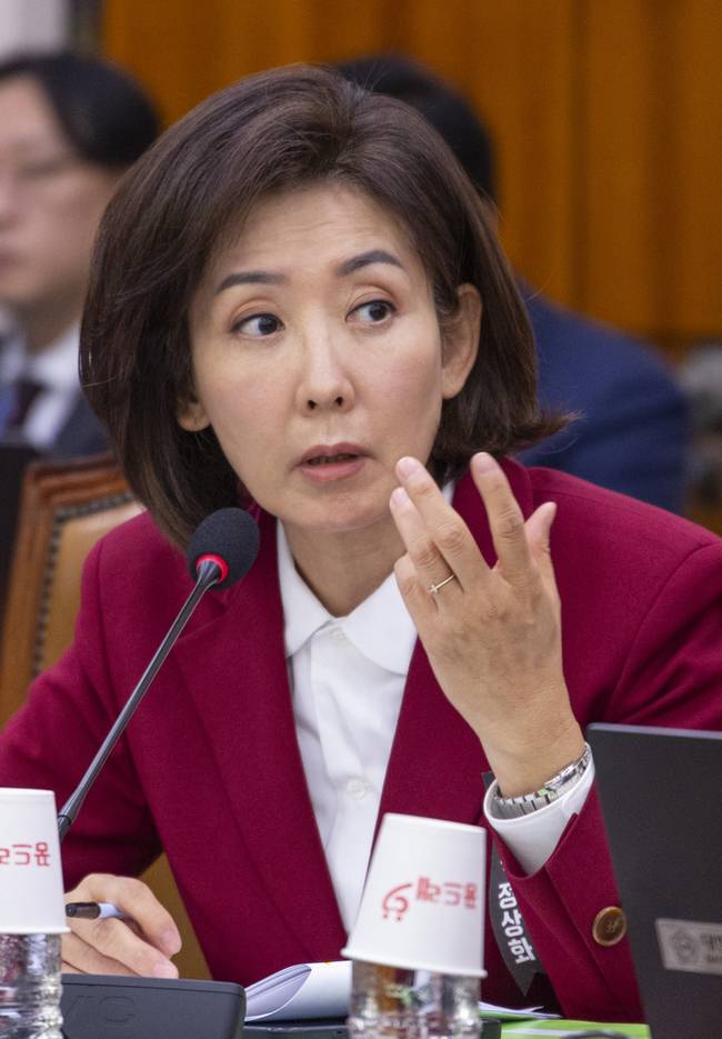 ▲ 국민의힘 나경원 의원이 27일 국회 법제사법위원회에서 열린 2025년 대검찰청 국정감사에서 질의하고 있다. 연합뉴스