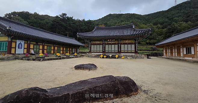 ¾ç¾ç ÁøÀü»ç