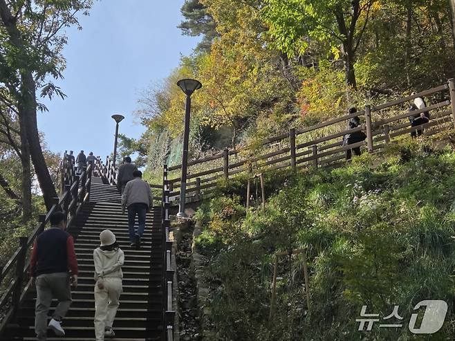 11월 첫 주말인 1일 오전 대전 장태산자연휴양림을 찾은 시민들이 산책을 즐기고 있다. ⓒ 뉴스1 김종서 기자