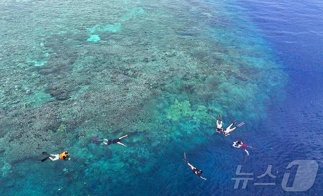 29일(현지시간) 인도네시아 마나도 부나켄 해양국립공원에서 이스타항공의 인천-마나도 첫 편을 통해 도착한 관광객들이 스노쿨링과 다이빙을 즐기고 있다. 2025.10.29/뉴스1 ⓒ News1 안은나 기자