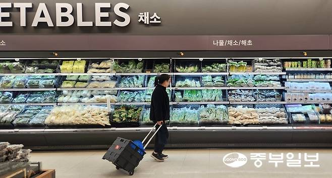 4일 오후 수원시의 한 대형마트 채소 코너에서 한 시민이 가격을 살펴보고 있다. 신연경기자