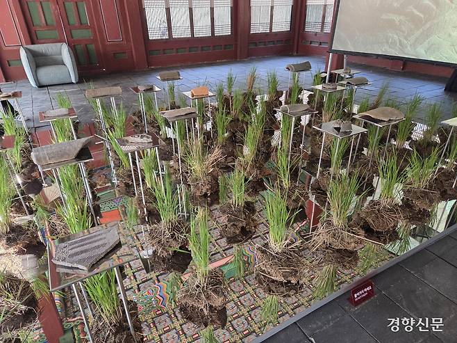 서울 덕수궁 덕홍전에 설치된 레오킴·김유정의 ‘시간의 겹에서 바라보다’. 윤승민 기자