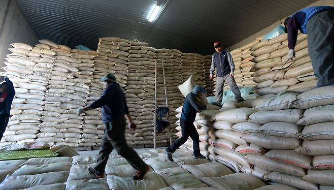 전남 나주시 봉황면의 한 농협창고. 인부들이 매입한 공공비축미를 창고로 옮기고 있다. /김영근 기자