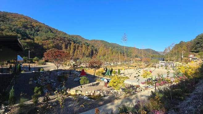 홍천에 새로 오픈한 여기만내캠핑장. /사진= 강예신 여행+ 기자