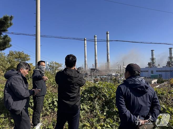 11일 울산화력발전소 보일러 타워 발파 현장 인근 언덕에서 인근 주민과 작업자 10여명이 해체 작업을 보고 있다.2025.11.11./뉴스1 ⓒ News1 김세은 기자