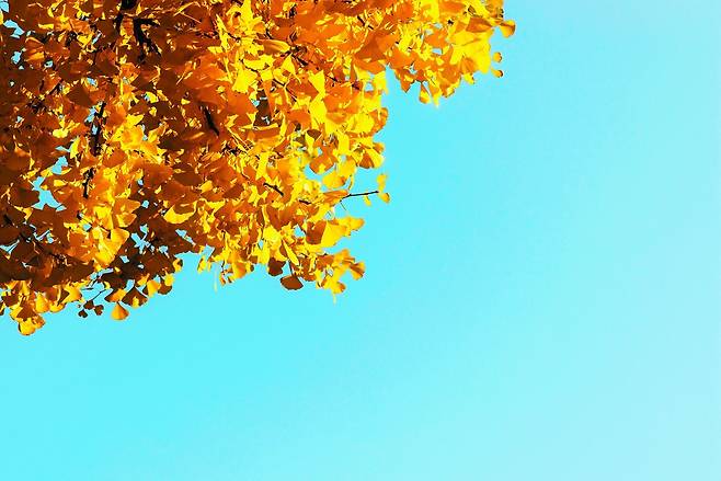 게티이미지뱅크