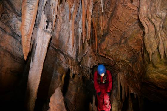 인공 시설물이 없는 백룡동굴은 기고 쭈그리고 하면서 온몸으로 탐사해야 한다. 백룡동굴은 촬영 금지다. 사전에 허락받고 촬영했다.