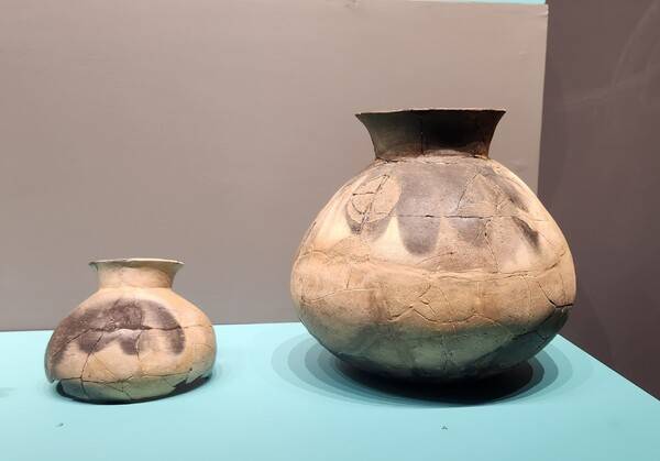 진주청동기문화박물관에 전시된 가지문 토기.