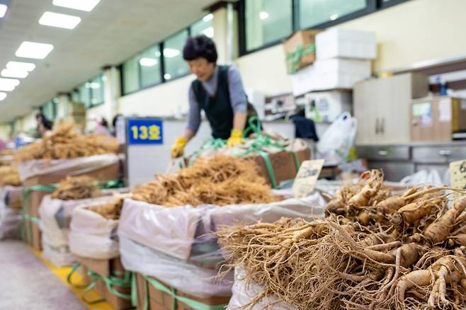 금산 인삼을 싼값에 살 수 있는 '금산수삼센터'