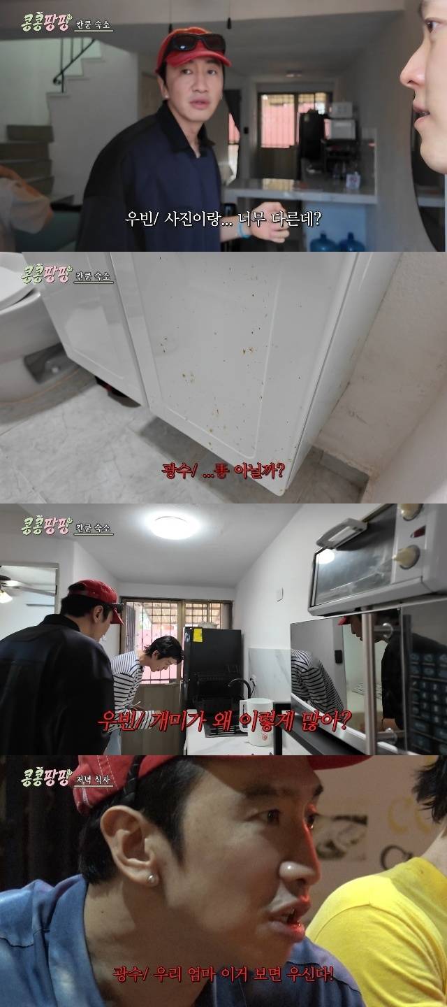 tvN ‘콩 심은 데 콩 나서 웃음 팡 행복 팡 해외 탐방’ 캡처