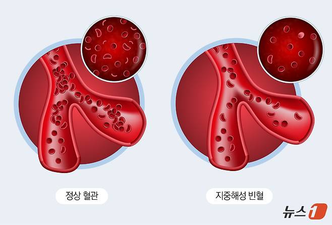 ⓒ News1 윤주희 디자이너