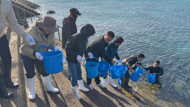 17일 제주도 해양수산연구원은 서귀포시 안덕면 사계리 연안에서 다금바리, 구문쟁이, 붉바리 등 바리과 어류 종자 2만여 마리를 방류했다. 제주도 해양수산연구원 제공