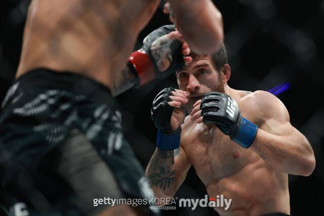 알렉산드레 토푸리아(블루 글러브)./게티이미지코리아