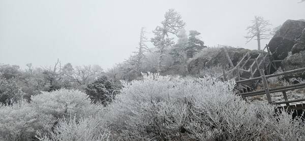 눈 내린 지리산. 지리산국립공원 경남사무소 제공.