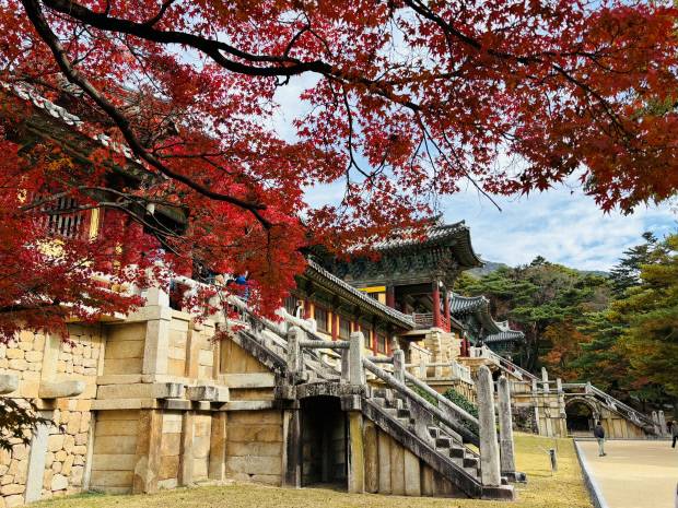 경주 불국사가 가을 단풍으로 절정을 맞으며 세계유산의 아름다움을 과시하고 있다.경주국립공원사무소 제공