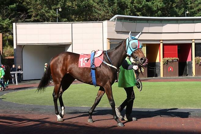 에이스하이(사진 한국마사회 제공)