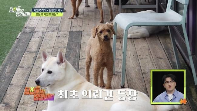 사진=채널A ‘탐정들의 영업비밀’