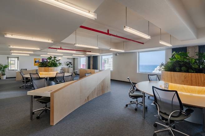 맹그로브 제주시티 워크 라운지. (엠지알브이 제공)