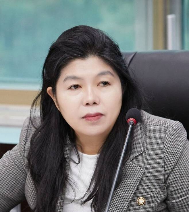 ▲ 안지현 의원.