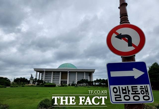 행정부에 대한 감시·견제 역할과 함께 입법 기능을 수행하는 국회가 헌법 정신과 취지에 맞지 않는 일부 위헌성 법률을 방치하고 있다. 명백한 국회의 직무 유기라는 비판이 나온다. /더팩트 DB