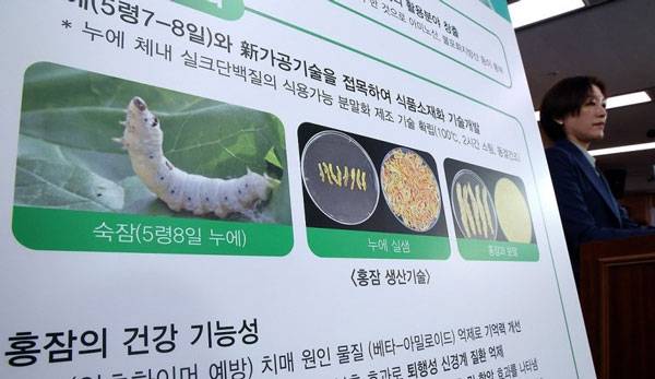 브리핑을 진행하는 방혜선 농업생물부장/사진=연합뉴스