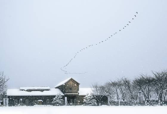 상하농원이 겨울 시즌 ‘딸기 농부 체험’과 ‘겨울상하사진 공모전’을 운영한다. 사진 매일유업