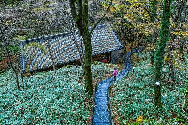 천왕사 산신각 오르는 길.