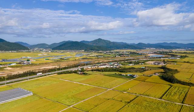 클립아트코리아