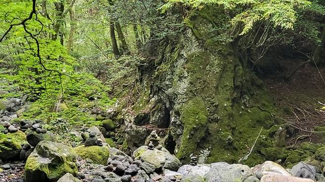 삼의악 오름에서 만나는 계곡. 제주 강동삼 기자