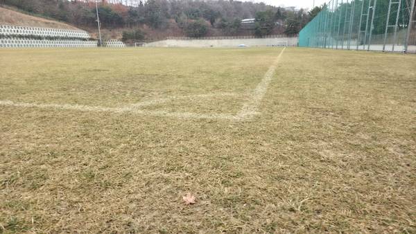 프로축구 수원FC가 훈련장으로 대관해 사용하고 있는 수원월드컵경기장 보조경기장./이영선기자 zero@kyeongin.com