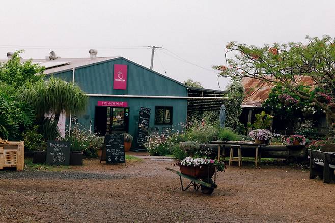 티나베리스, Canon EOS R5 Mark I Ⓟ신혜선(@mongkumong9)