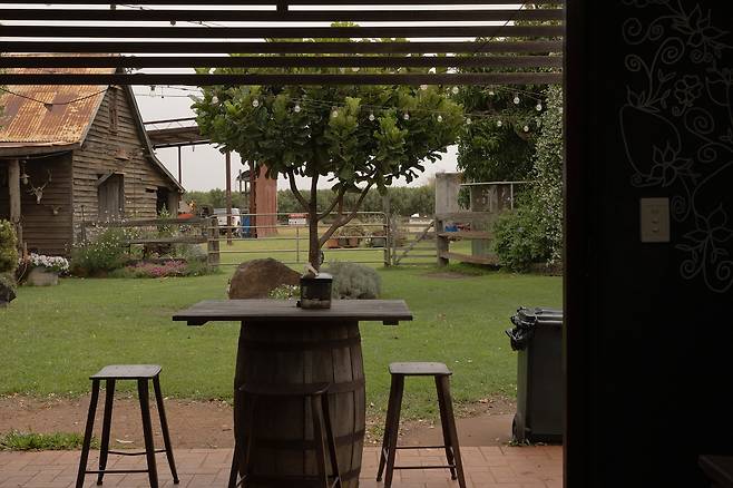 번다버그의 차분함에 대하여, Canon EOS R6 Mark II Ⓟ강지연(@bli2s_)