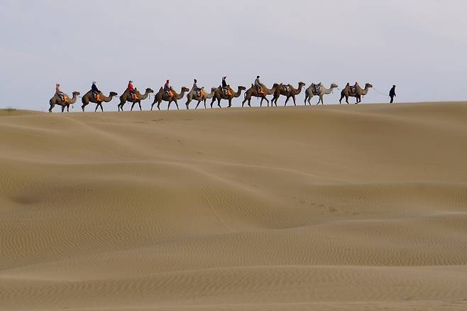 내몽골 오르도스 인컨타라 사막, 낙타체험