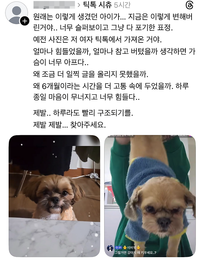 /사진=틱톡, 스레드