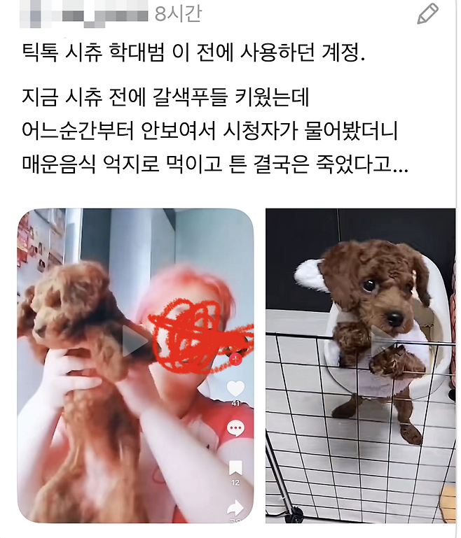 강아지 얼굴에 담배연기 내뿜고, 뒷다리 잡아당긴 '학